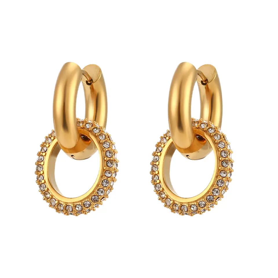 Circle zircone Earrings