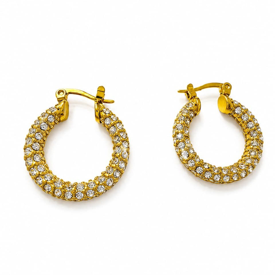 Luxury Zircon Earrings