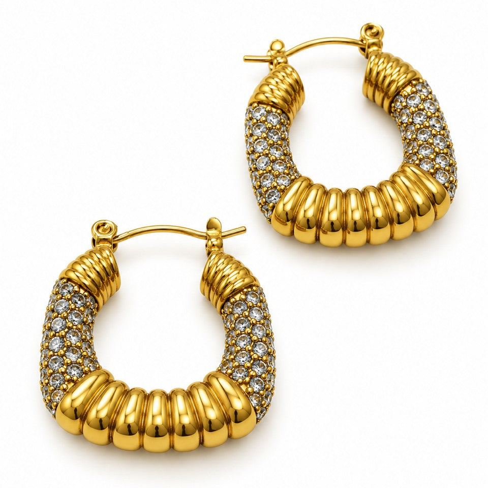 Luxury Earrings