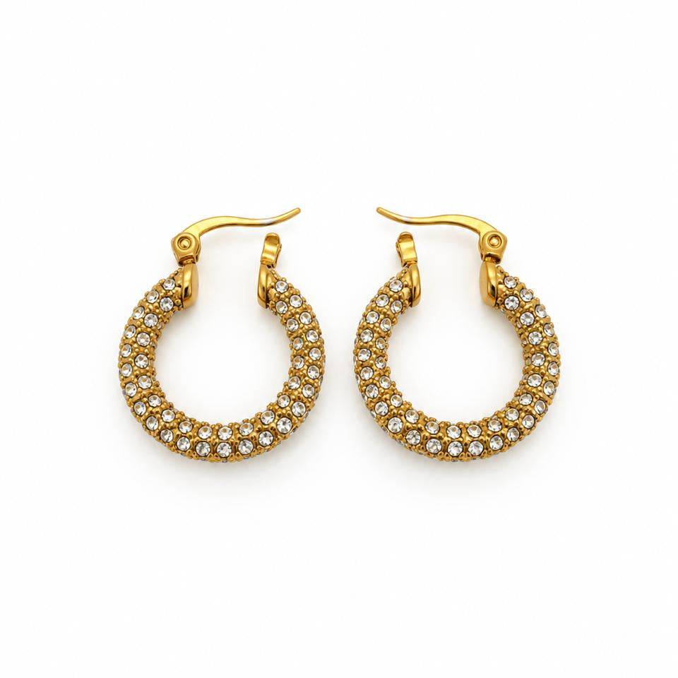 Luxury Zircon Earrings
