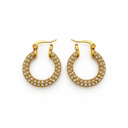 Luxury Zircon Earrings